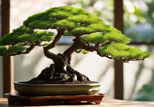 The Impact of Honolulu's Climate and Environment on Bonsai Tree Growth